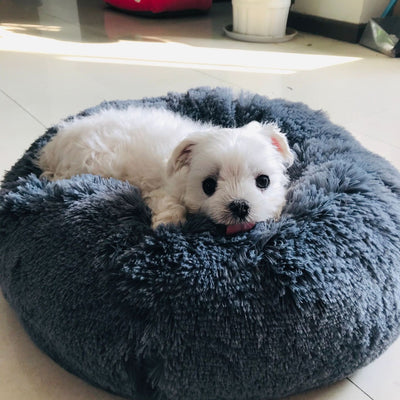 Super Soft Pet Bed